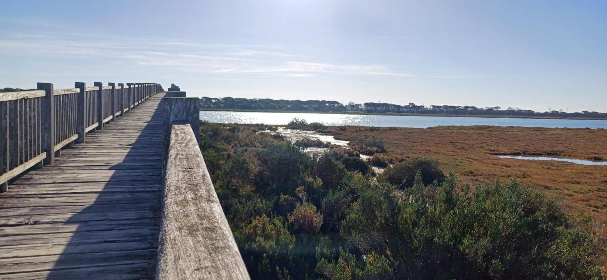 Apartamento Primera Linea De Playa Valdelagrana El Puerto de Santa María Exteriör bild